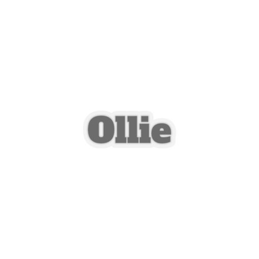 Ollie Sticker