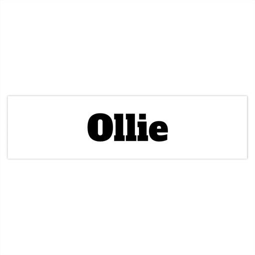 Ollie Bumper Sticker